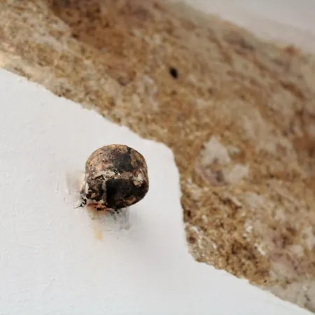 A Casa Ventotto فندق مبيت وإفطار 3*